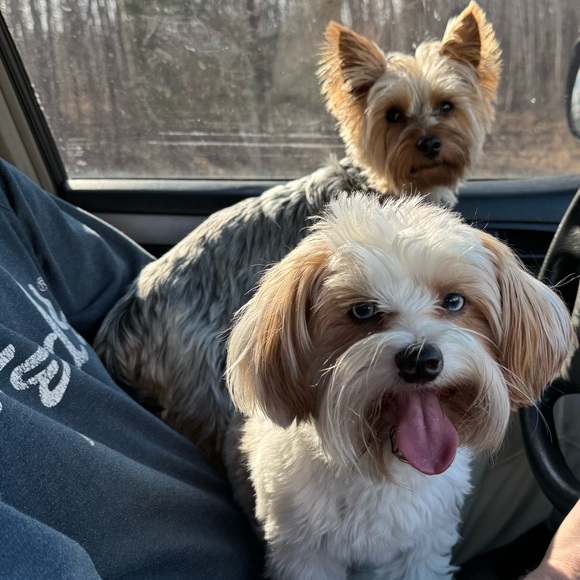 Meet your Posher, Melissa - Picture 3 of 3